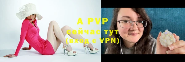 тгк Магадан